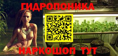 дурь Гусев