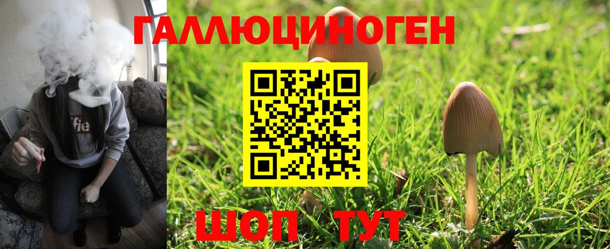 Псилоцибиновые грибы мицелий  Вход с VPN  Жигулёвск 