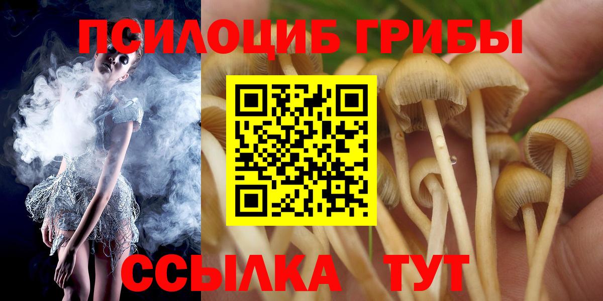 Псилоцибиновые грибы Cubensis Жигулёвск